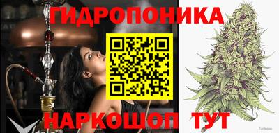 хмурый Гудермес