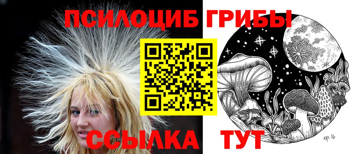 Псилоцибиновые грибы Cubensis Воркута